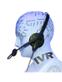 Hosted IVR Solution